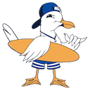 Stoked Seagull